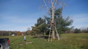 raising up diy deer stand into tree